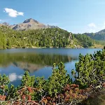 Adler Отель 3*