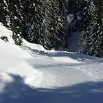 Adler Отель 3*