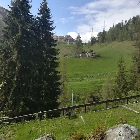 Adler 3*