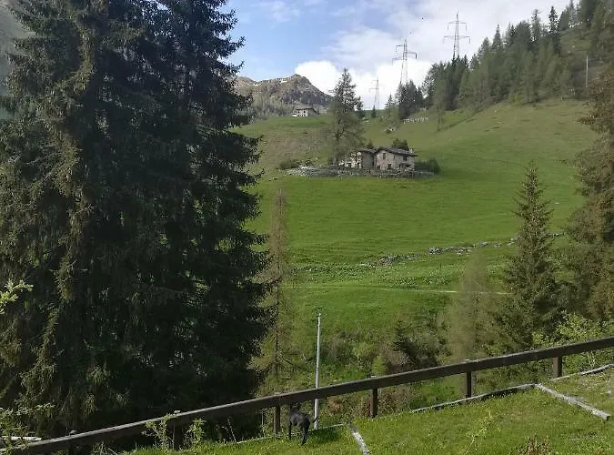 Adler 3*